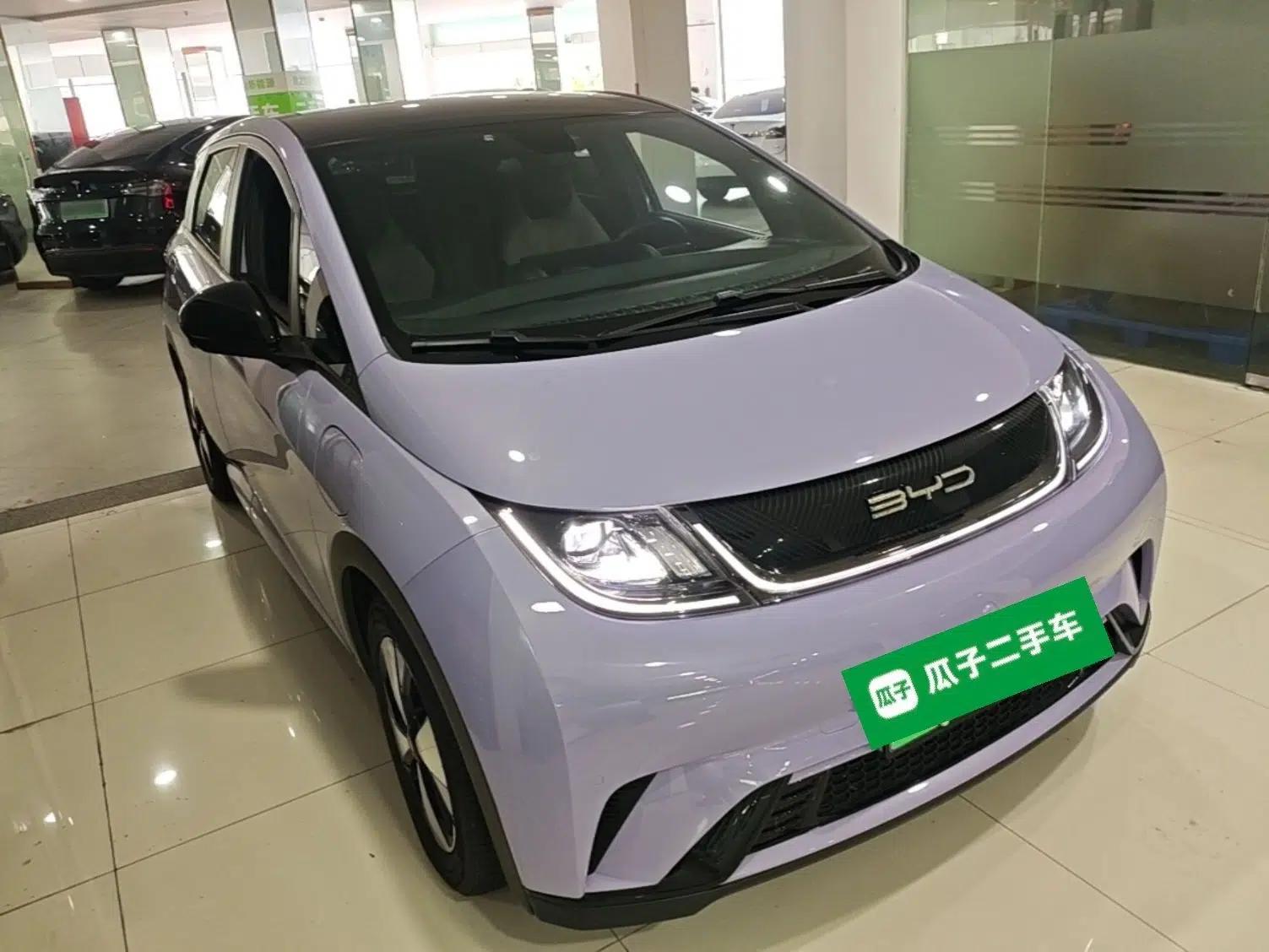 BYD Dolphin 2023 420 km Fashion Edition — миниатюра 3
