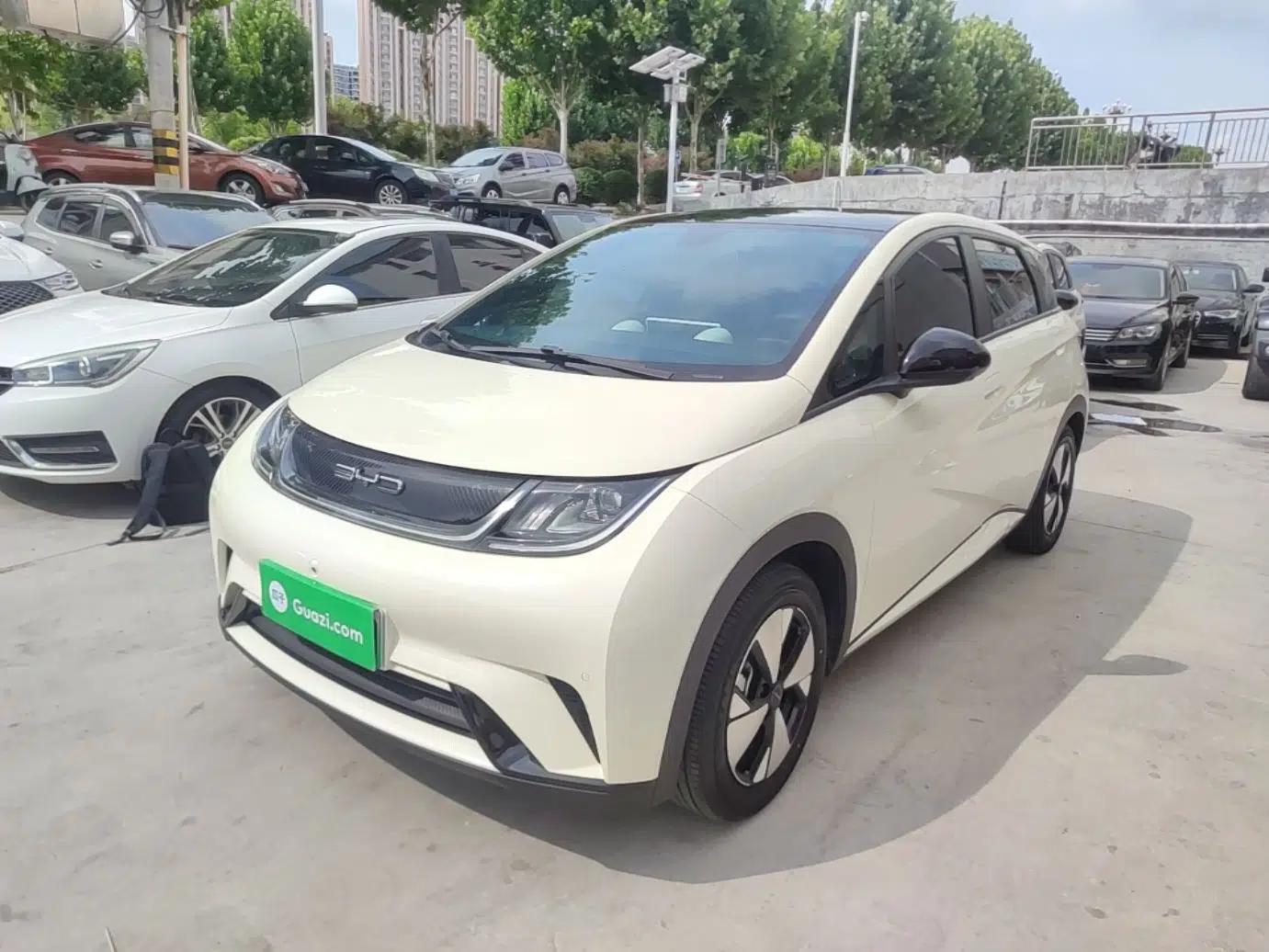 BYD Dolphin 2023 420 km Fashion Edition — миниатюра 1