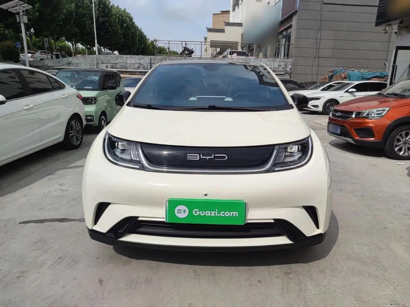 BYD Dolphin 2023 420 km Fashion Edition — миниатюра 2
