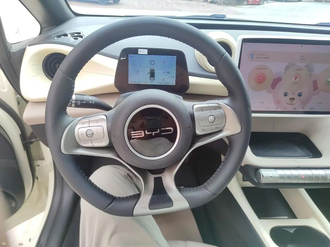 BYD Dolphin 2023 420 km Fashion Edition — миниатюра 13