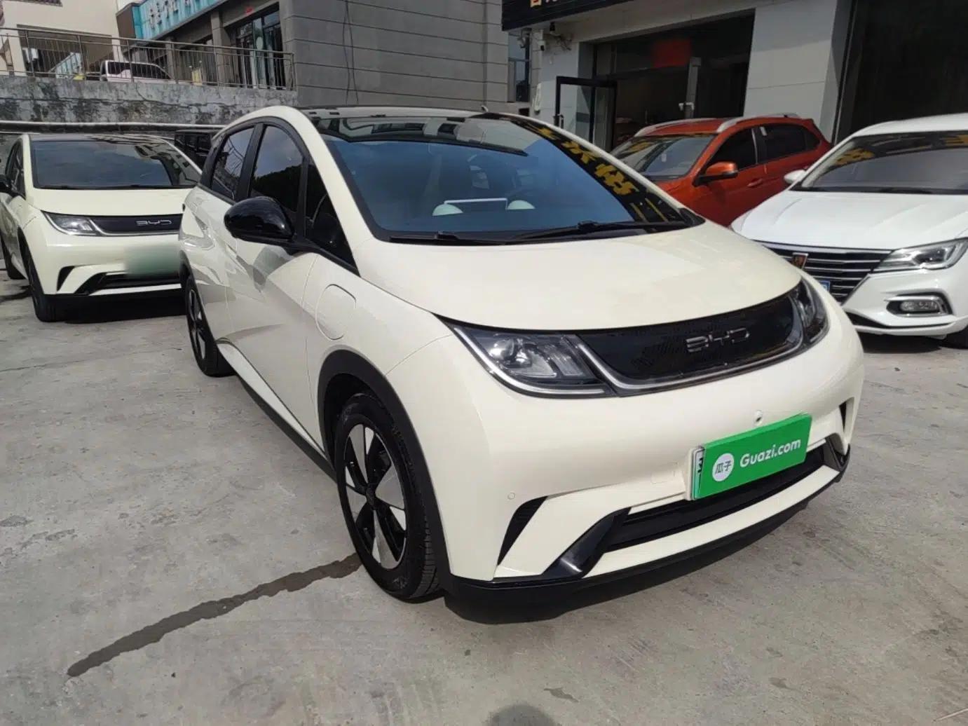BYD Dolphin 2023 420 km Fashion Edition — миниатюра 3