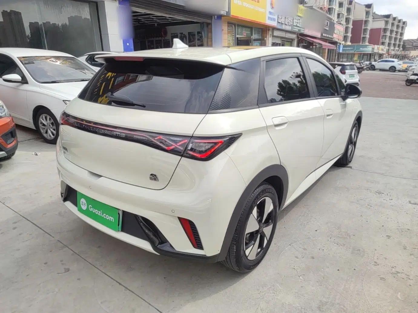 BYD Dolphin 2023 420 km Fashion Edition — миниатюра 6
