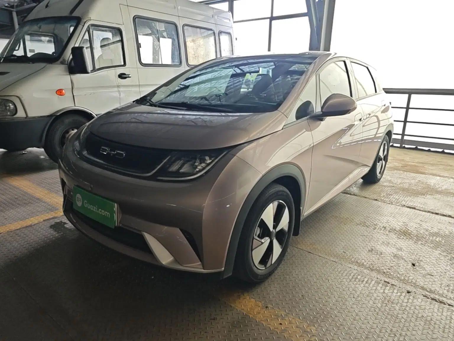 BYD Dolphin 2023 420 km Fashion Edition — миниатюра 1