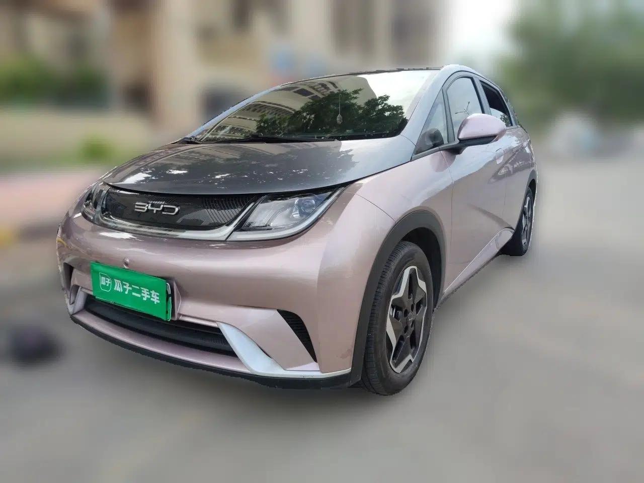 BYD Dolphin 2021 405 km Fashion Edition — миниатюра 1