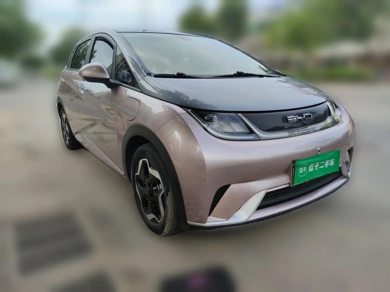 BYD Dolphin 2021 405 km Fashion Edition — миниатюра 3