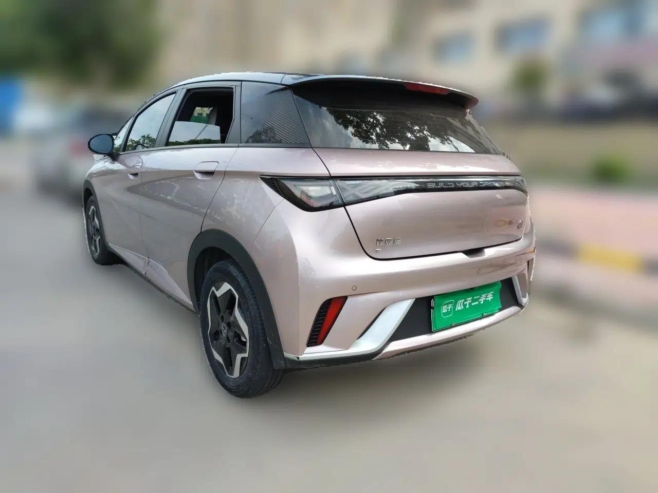 BYD Dolphin 2021 405 km Fashion Edition — миниатюра 4