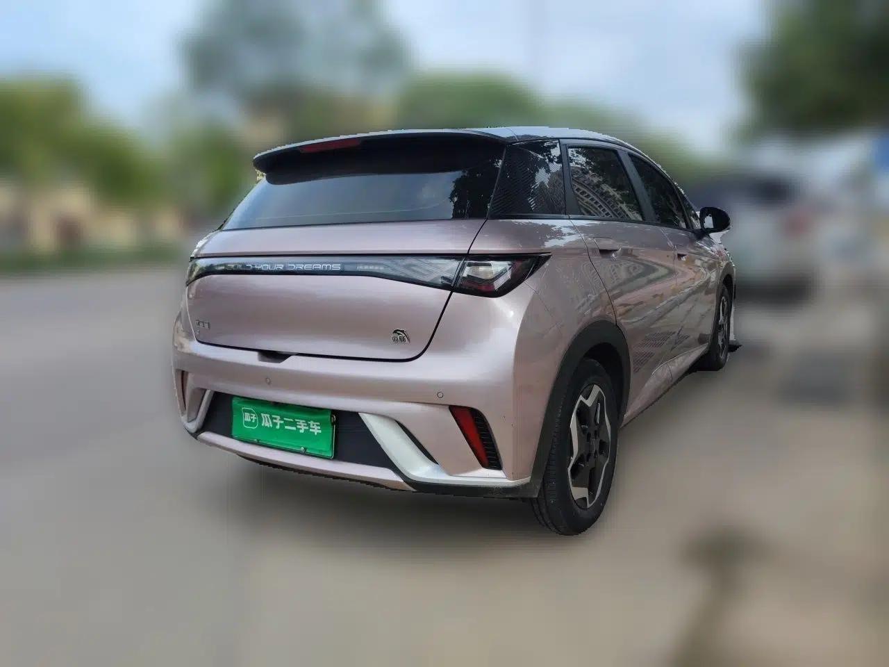 BYD Dolphin 2021 405 km Fashion Edition — миниатюра 6