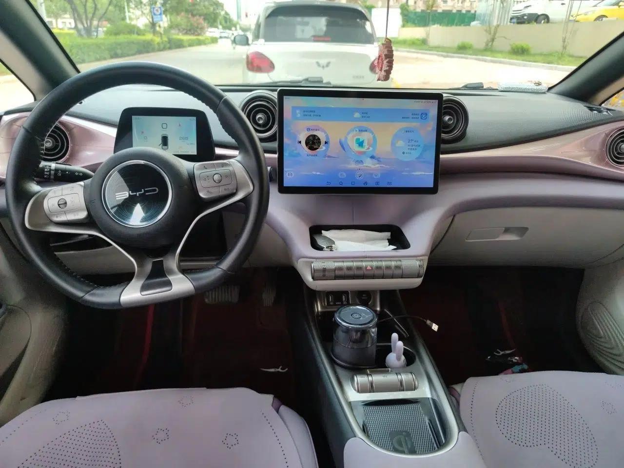BYD Dolphin 2021 405 km Fashion Edition — миниатюра 9