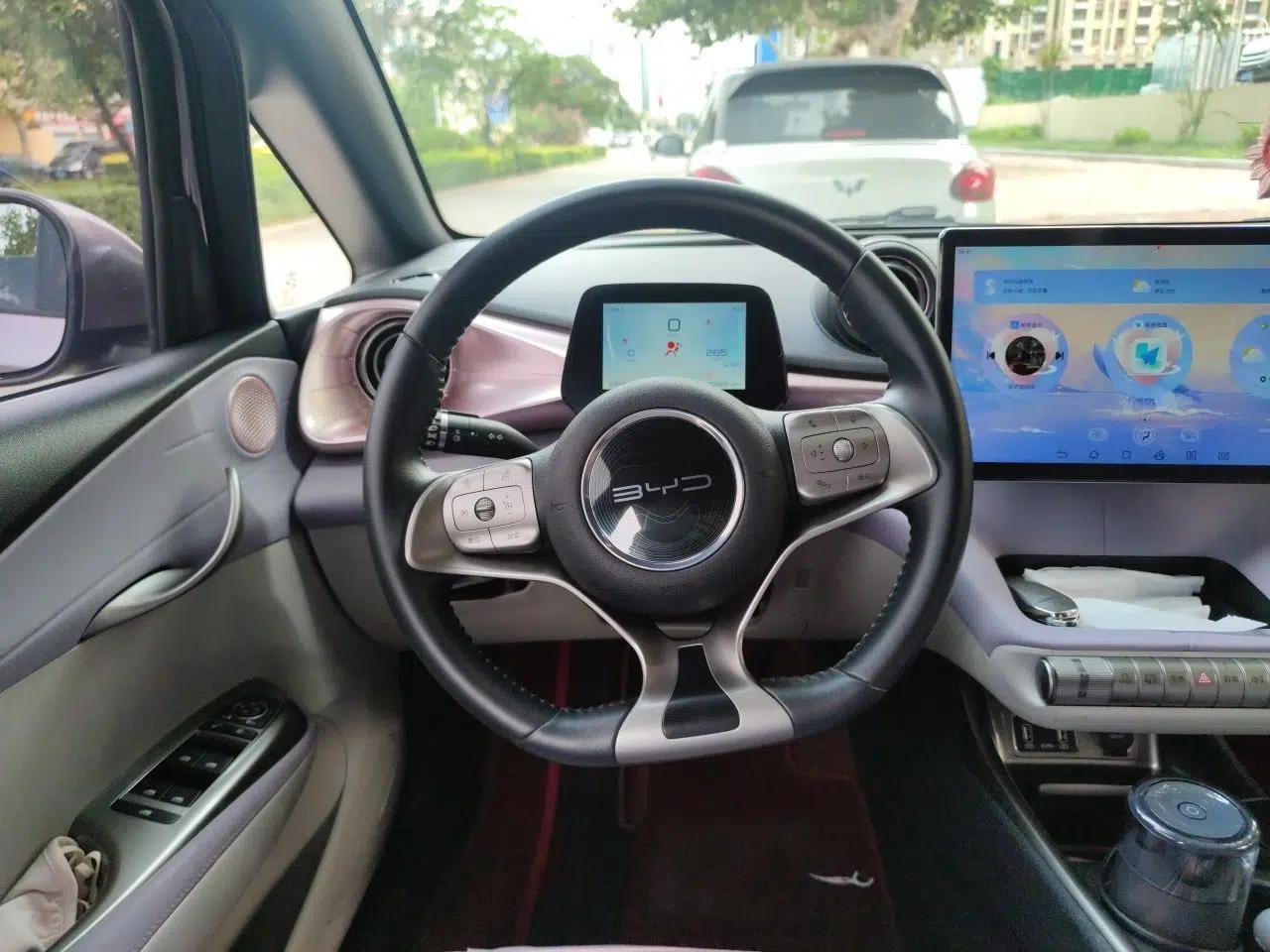 BYD Dolphin 2021 405 km Fashion Edition — миниатюра 10