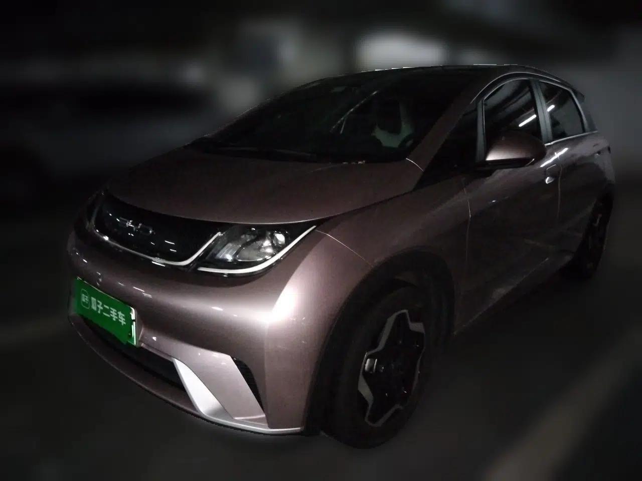 BYD Dolphin 2021 405 km Fashion Edition — миниатюра 1