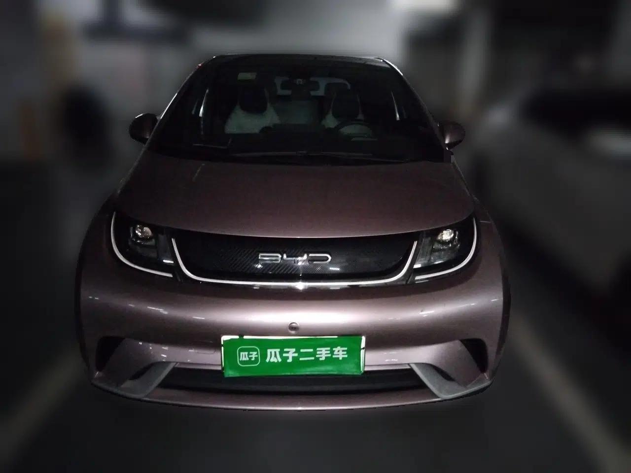 BYD Dolphin 2021 405 km Fashion Edition — миниатюра 2