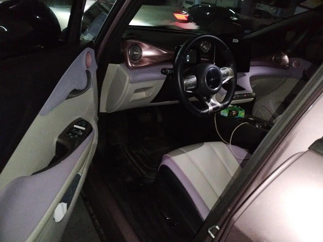 BYD Dolphin 2021 405 km Fashion Edition — миниатюра 16