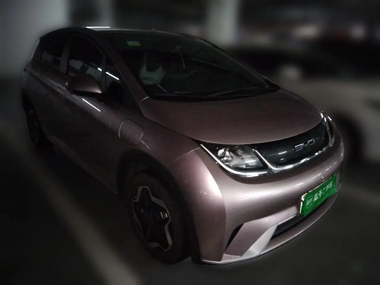 BYD Dolphin 2021 405 km Fashion Edition — миниатюра 3