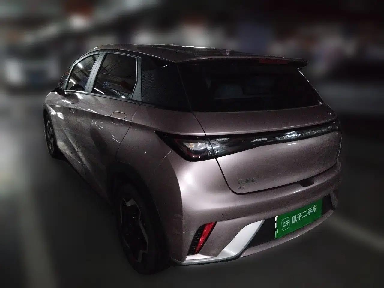 BYD Dolphin 2021 405 km Fashion Edition — миниатюра 4