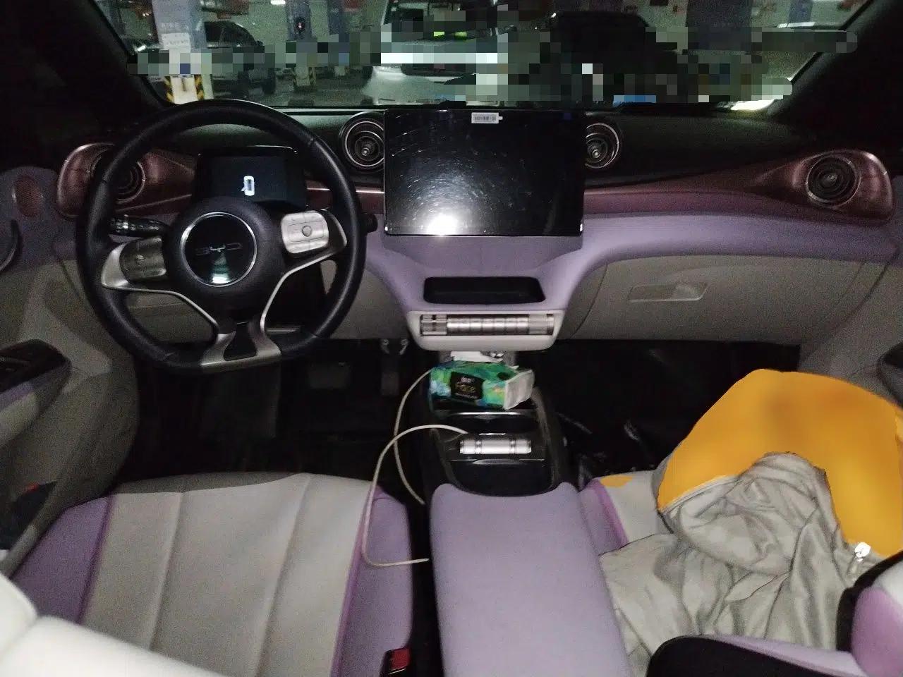BYD Dolphin 2021 405 km Fashion Edition — миниатюра 9