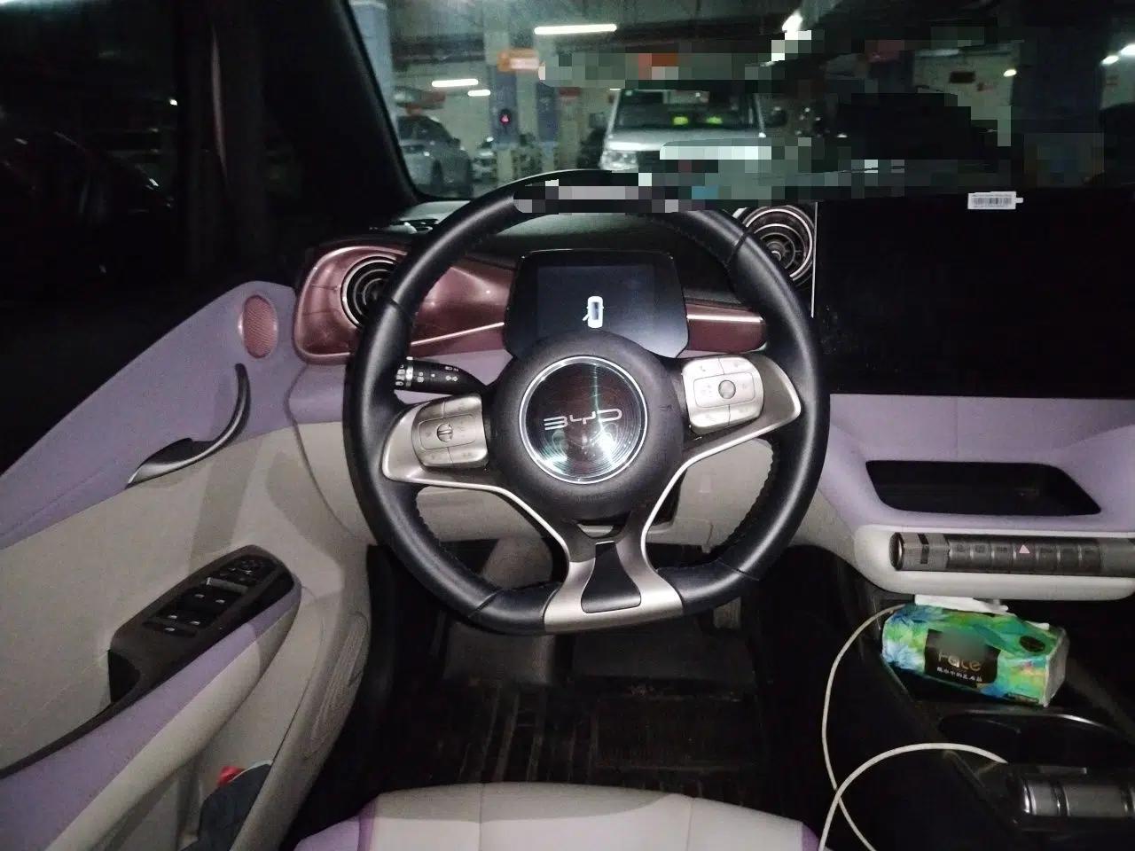 BYD Dolphin 2021 405 km Fashion Edition — миниатюра 10