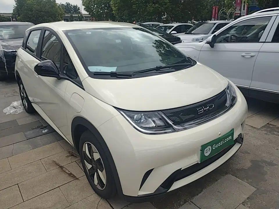 BYD Dolphin 2025 420km Free Edition — миниатюра 3