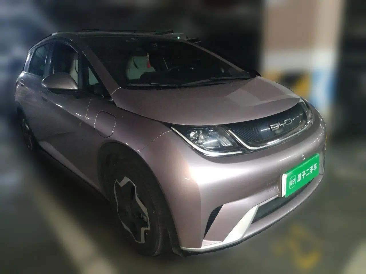 BYD Dolphin 2021 405 km Fashion Edition — миниатюра 3
