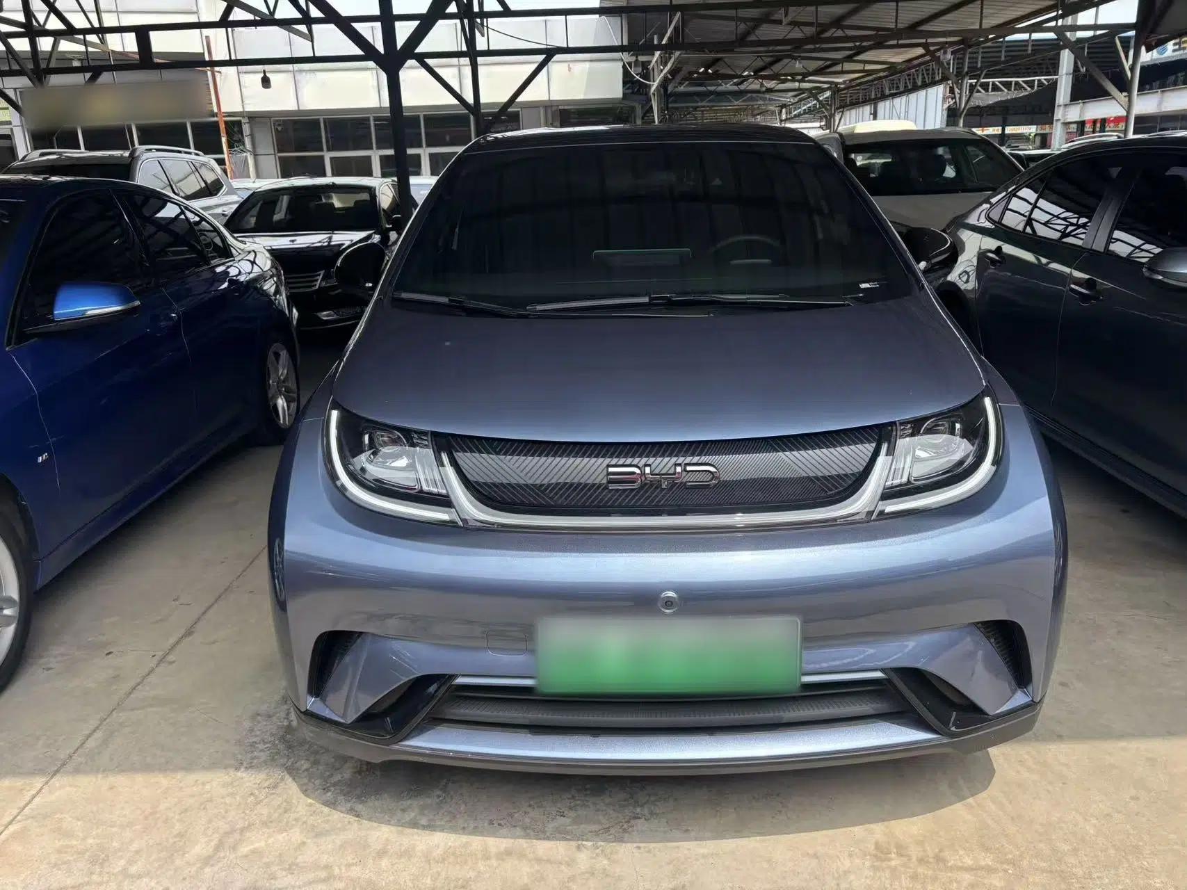 BYD Dolphin 2024 Honor Edition 420km Freedom Version — миниатюра 2