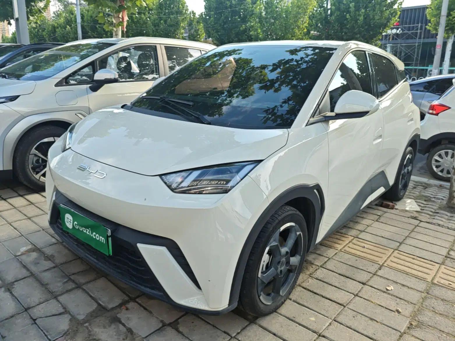 BYD Seagull 2023 Free Edition — миниатюра 1