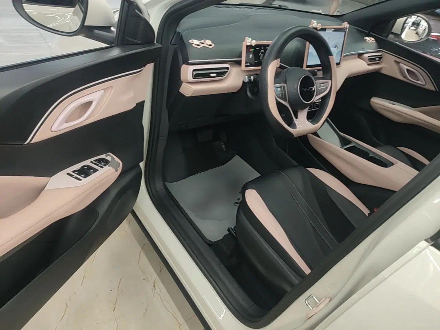 BYD Seagull 2025 Intelligent Driving Version 305 km Dynamic Edition — миниатюра 18