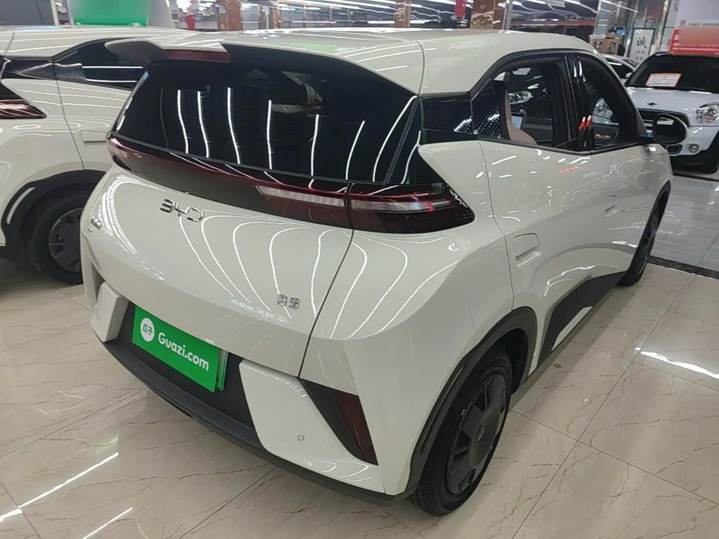 BYD Seagull 2025 Intelligent Driving Version 305 km Dynamic Edition — миниатюра 6
