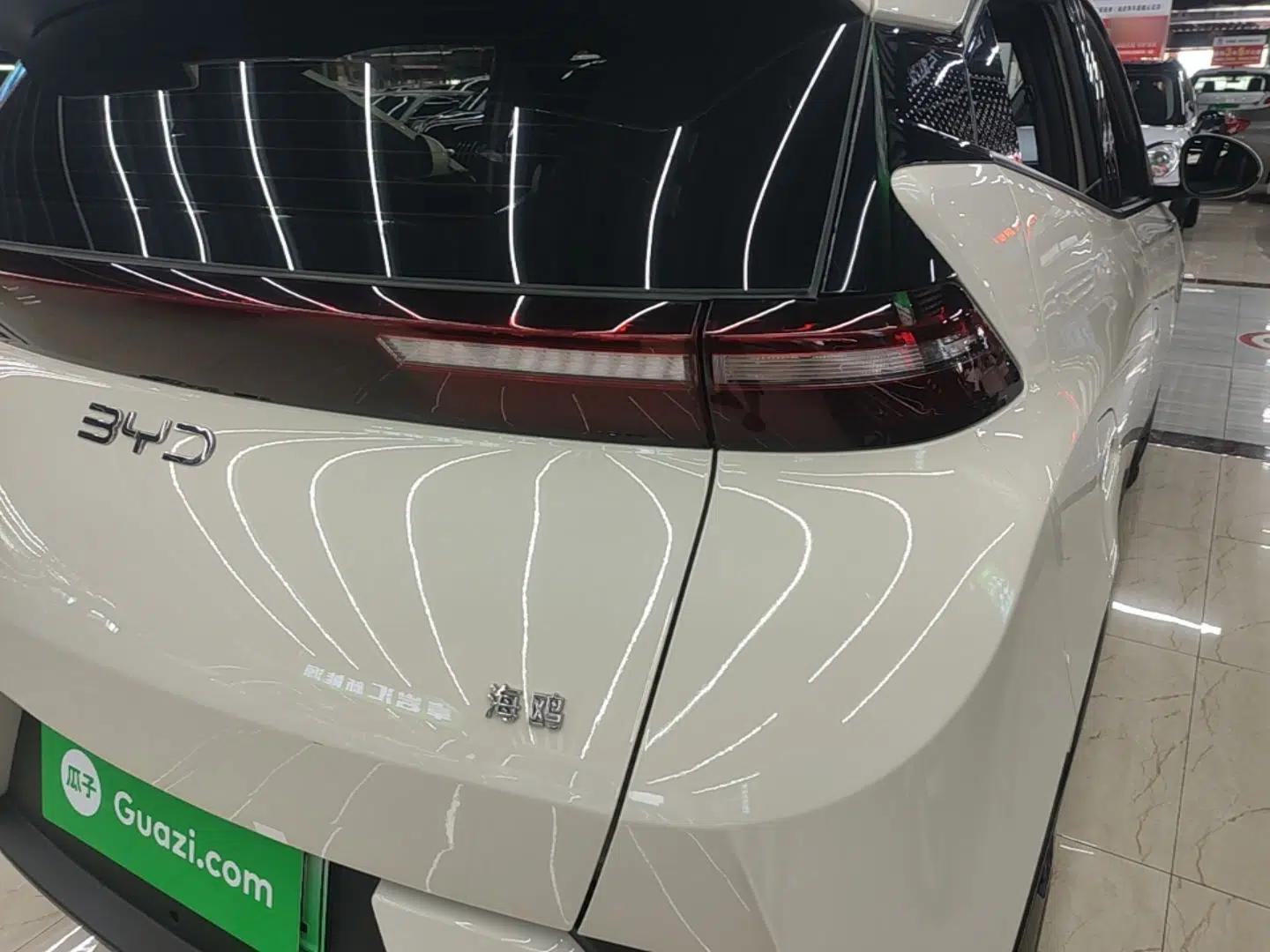 BYD Seagull 2025 Intelligent Driving Version 305 km Dynamic Edition — миниатюра 9