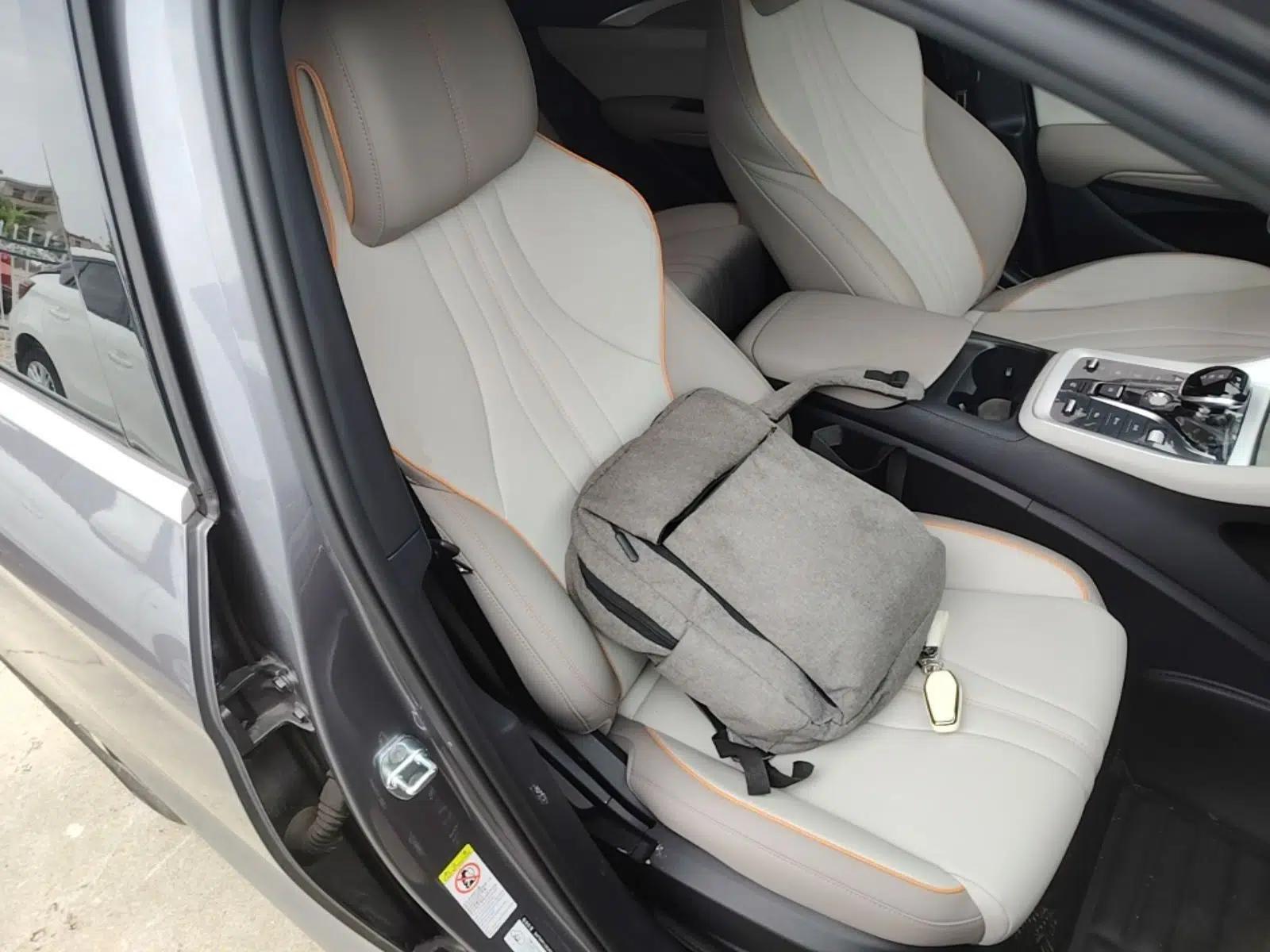 BYD Song Pro New Energy 2024 HONOR Edition DM-i 110KM Beyond Model — миниатюра 19