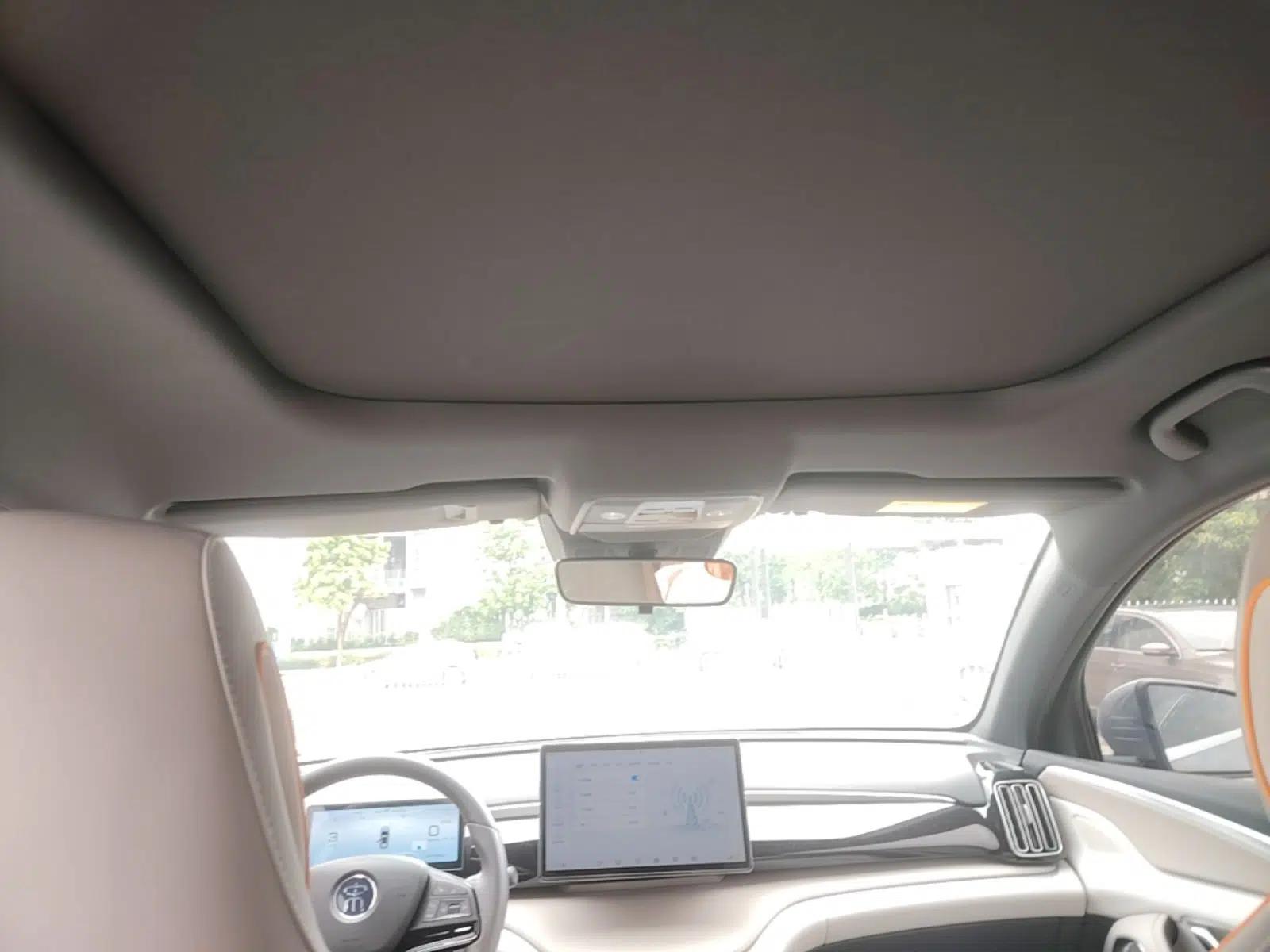 BYD Song Pro New Energy 2024 HONOR Edition DM-i 110KM Beyond Model — миниатюра 21