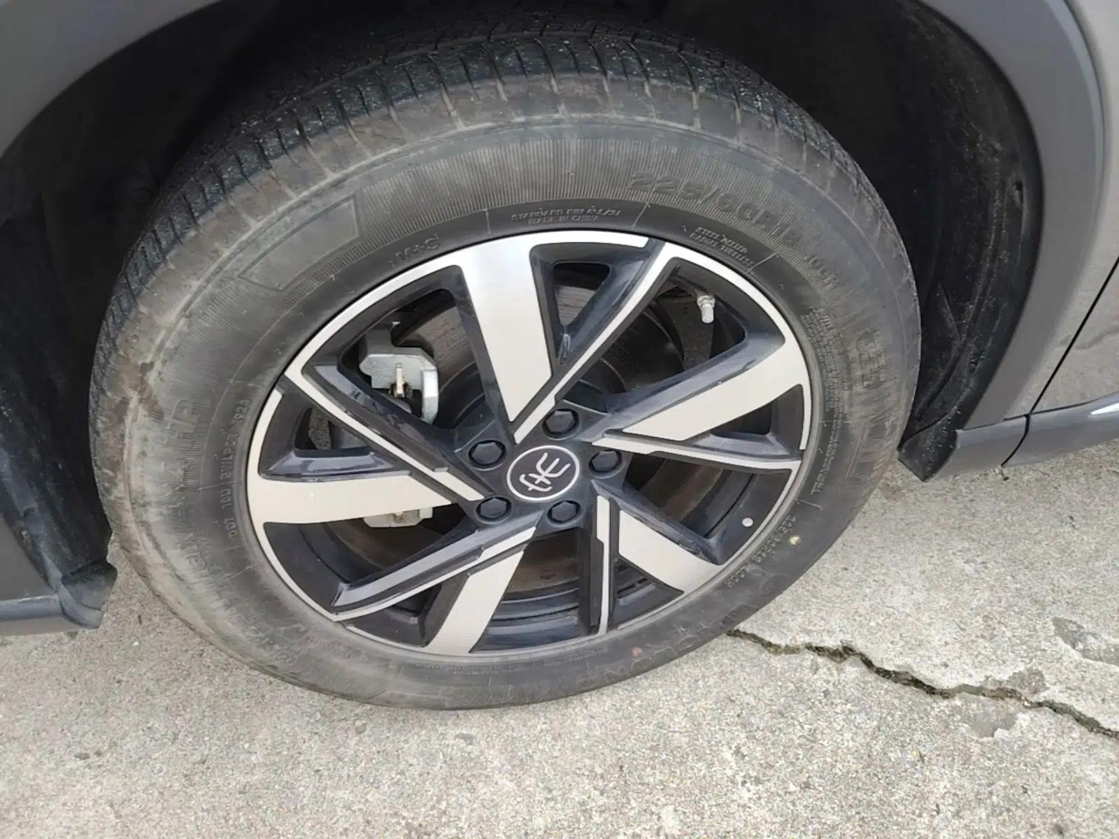 BYD Song Pro New Energy 2024 HONOR Edition DM-i 110KM Beyond Model — миниатюра 10