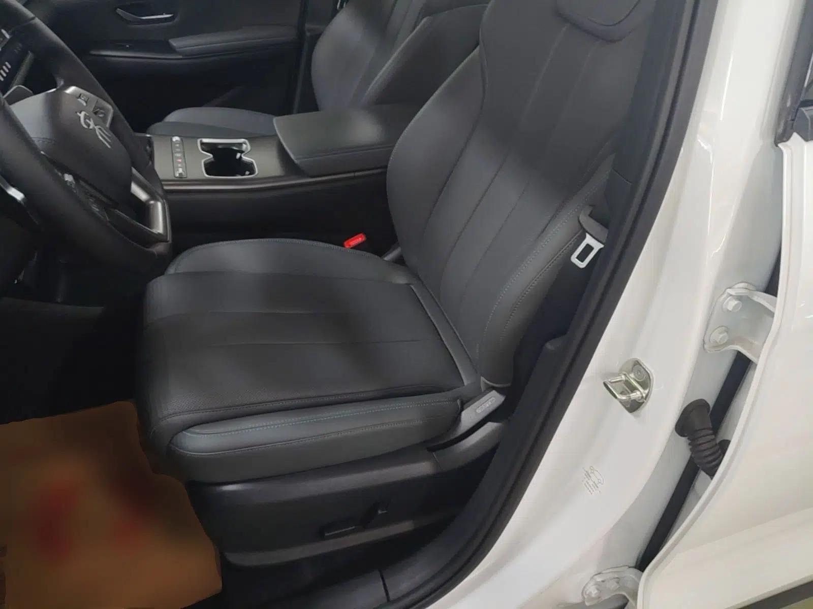 BYD Song Pro New Energy 2026 Model DM-i 220KM Beyond Version — миниатюра 17