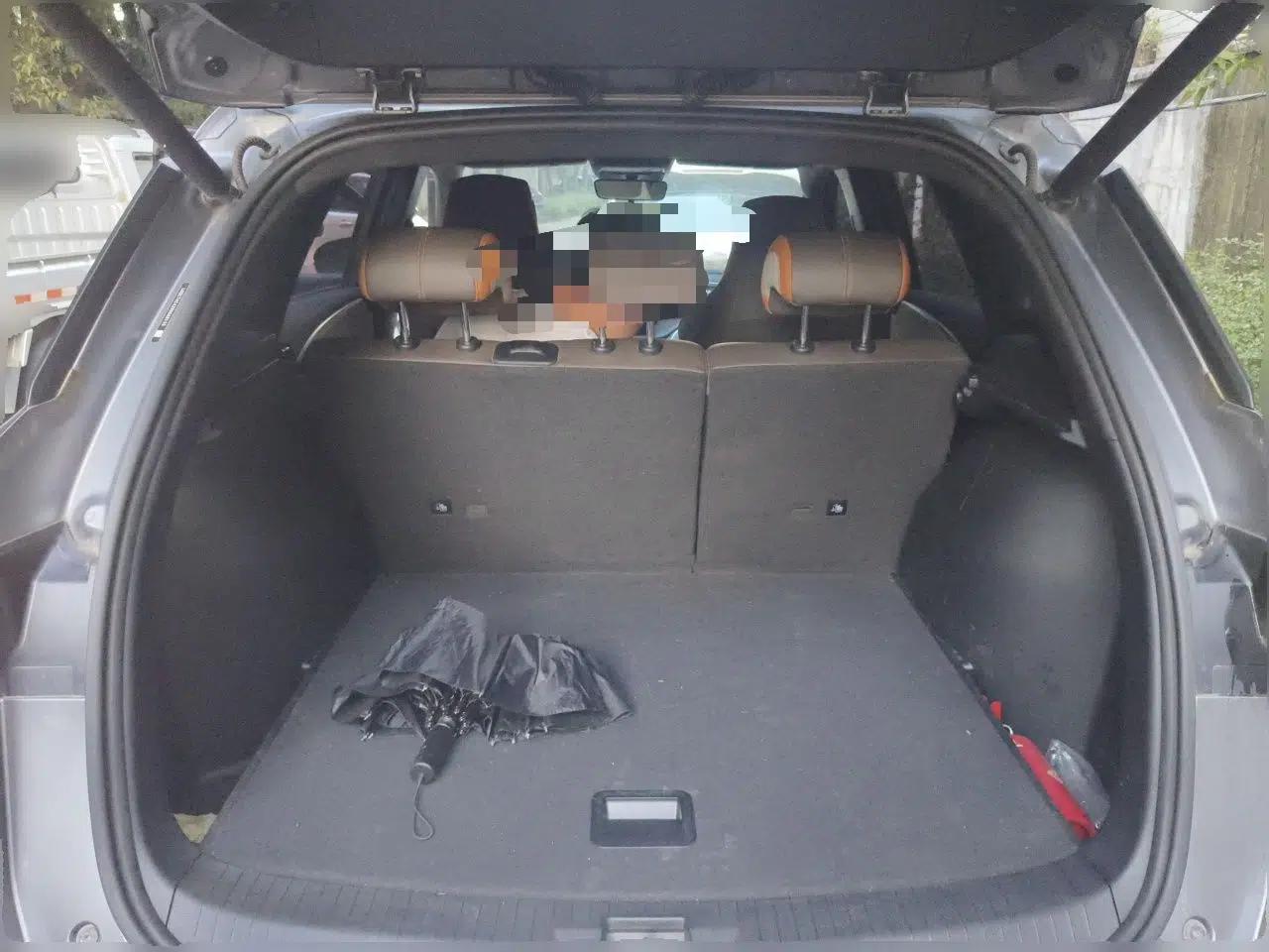 BYD Song Pro New Energy 2022 DM-i 51km Prestige Model — миниатюра 19