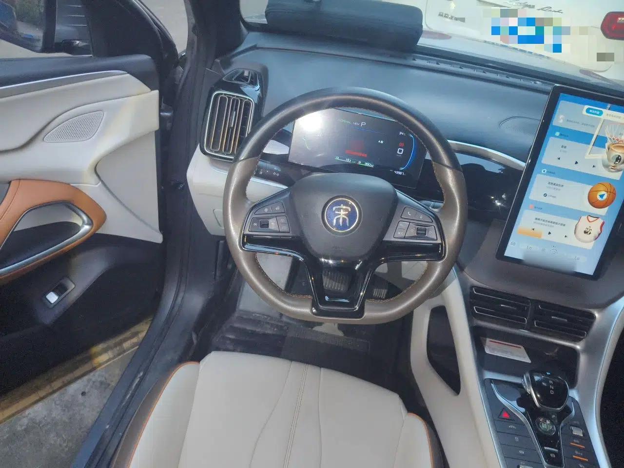 BYD Song Pro New Energy 2022 DM-i 51km Prestige Model — миниатюра 10