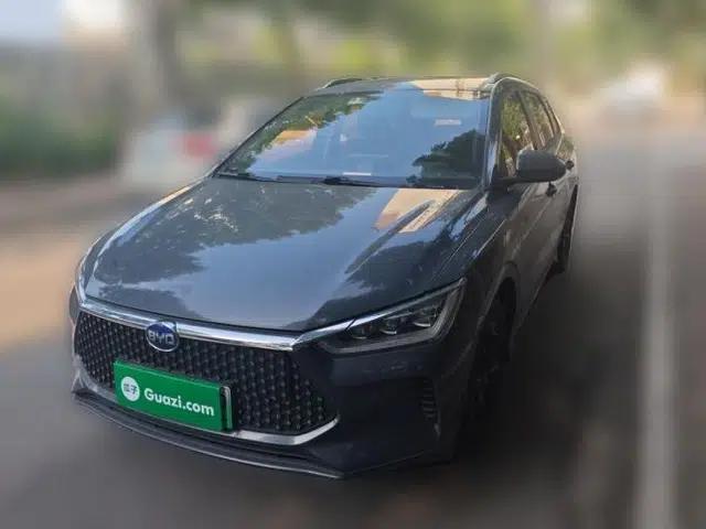 BYD e2 2019 Long-Range Version Yao·Luxury Trim