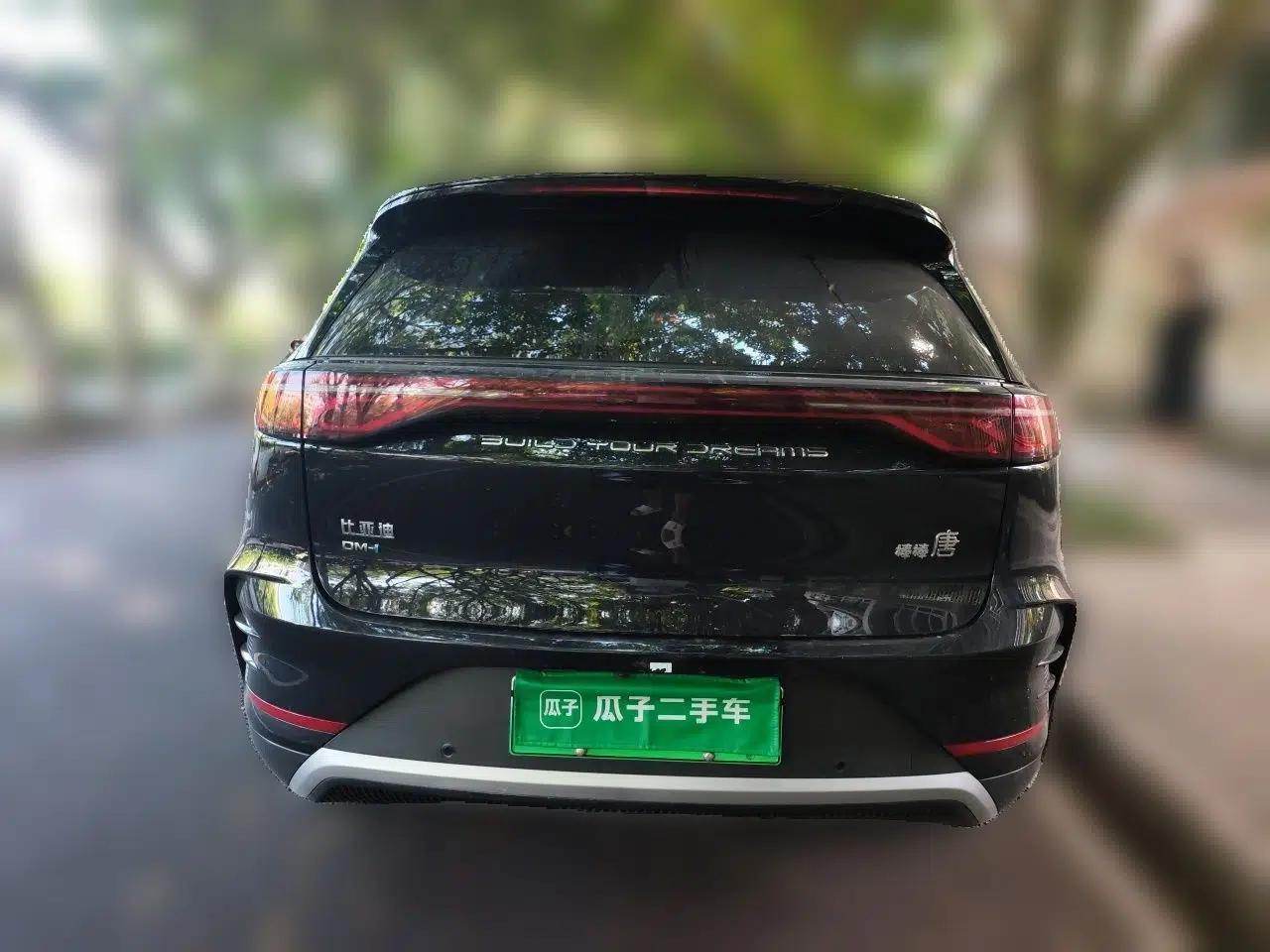 BYD Tang New Energy 2025 DM-i 115KM Prestige Model — миниатюра 5
