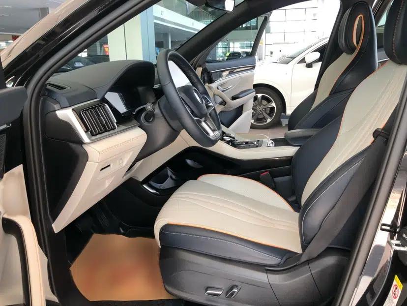 BYD Song PLUS New Energy 2021 DM-i 110KM Flagship PLUS — миниатюра 12