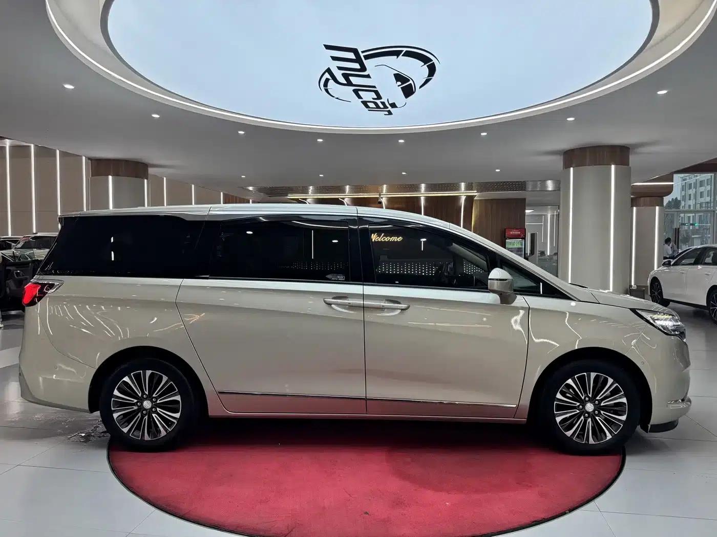 Buick GL8 2020 ES Avantgarde 653T Flagship Edition — миниатюра 4
