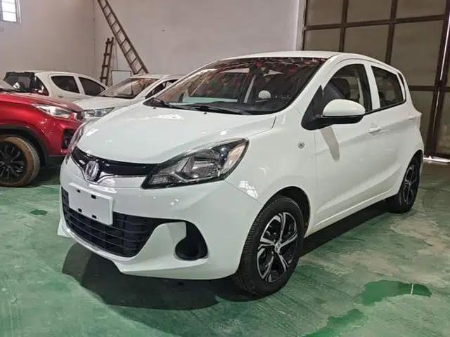 CHANGAN Benni E-Star 2021 National Edition Xin Yue Version Lithium Iron Phosphate (31.18 kWh)