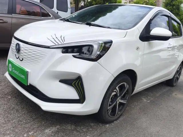 CHANGAN Benni E-Star 2023 Dynamic Edition Colorful Model