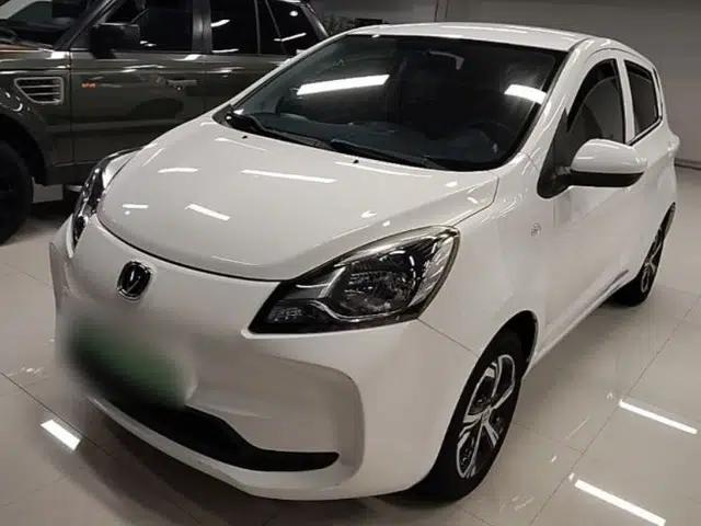 CHANGAN Benni E-Star 2021 National Edition Xin Yue Version Lithium-Ion Battery