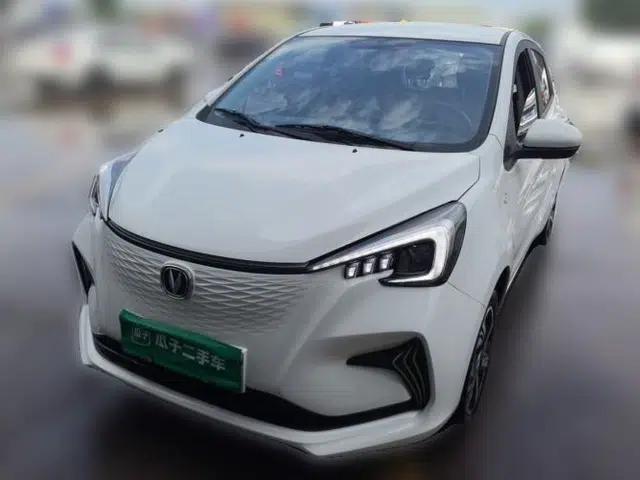 CHANGAN Benni E-Star 2022 Charming Edition Colorful Model Lithium Iron Phosphate
