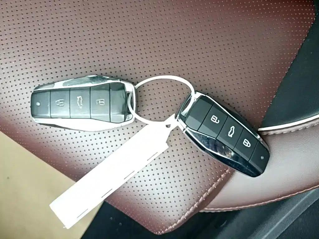 Sihao QX 2021 300T DCT Premium Intelligent Connected Edition — миниатюра 9