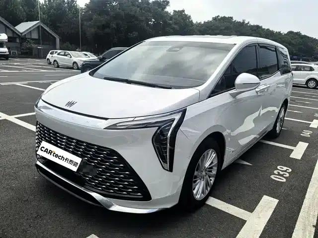 Century 2025 2.0T 7-Seat Luxury Edition