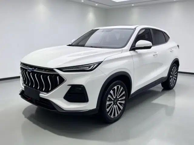 CHANGAN OSHAN X5 2021 1.5T DCT Prestige Edition