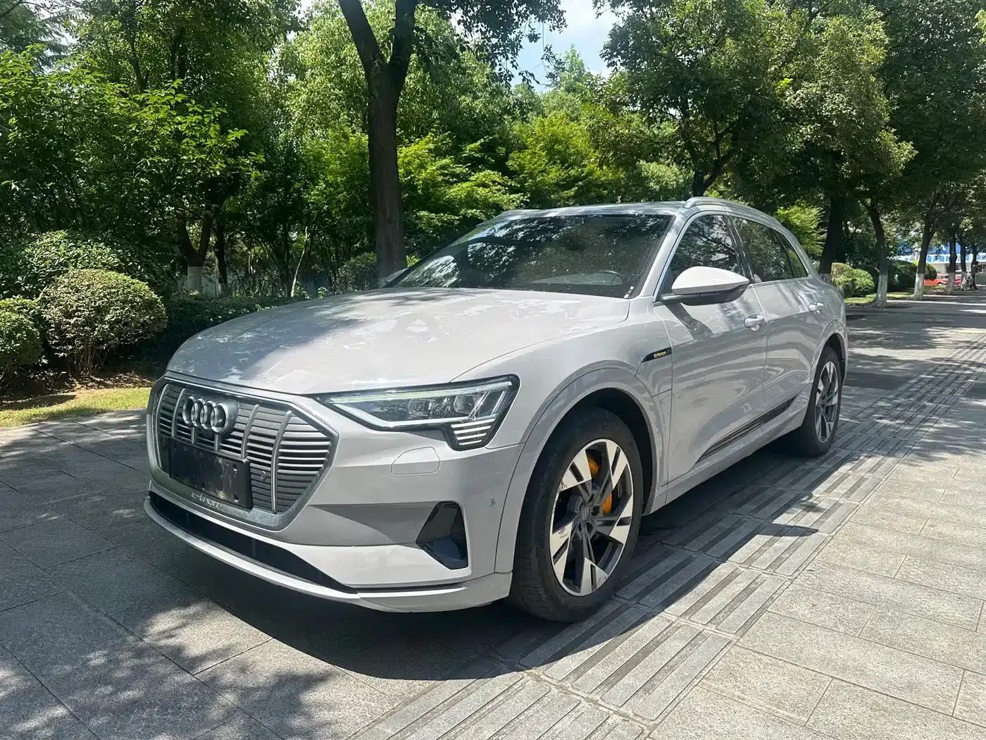Audi e-tron (Imported) 2019 55 quattro Exclusive Edition — миниатюра 1