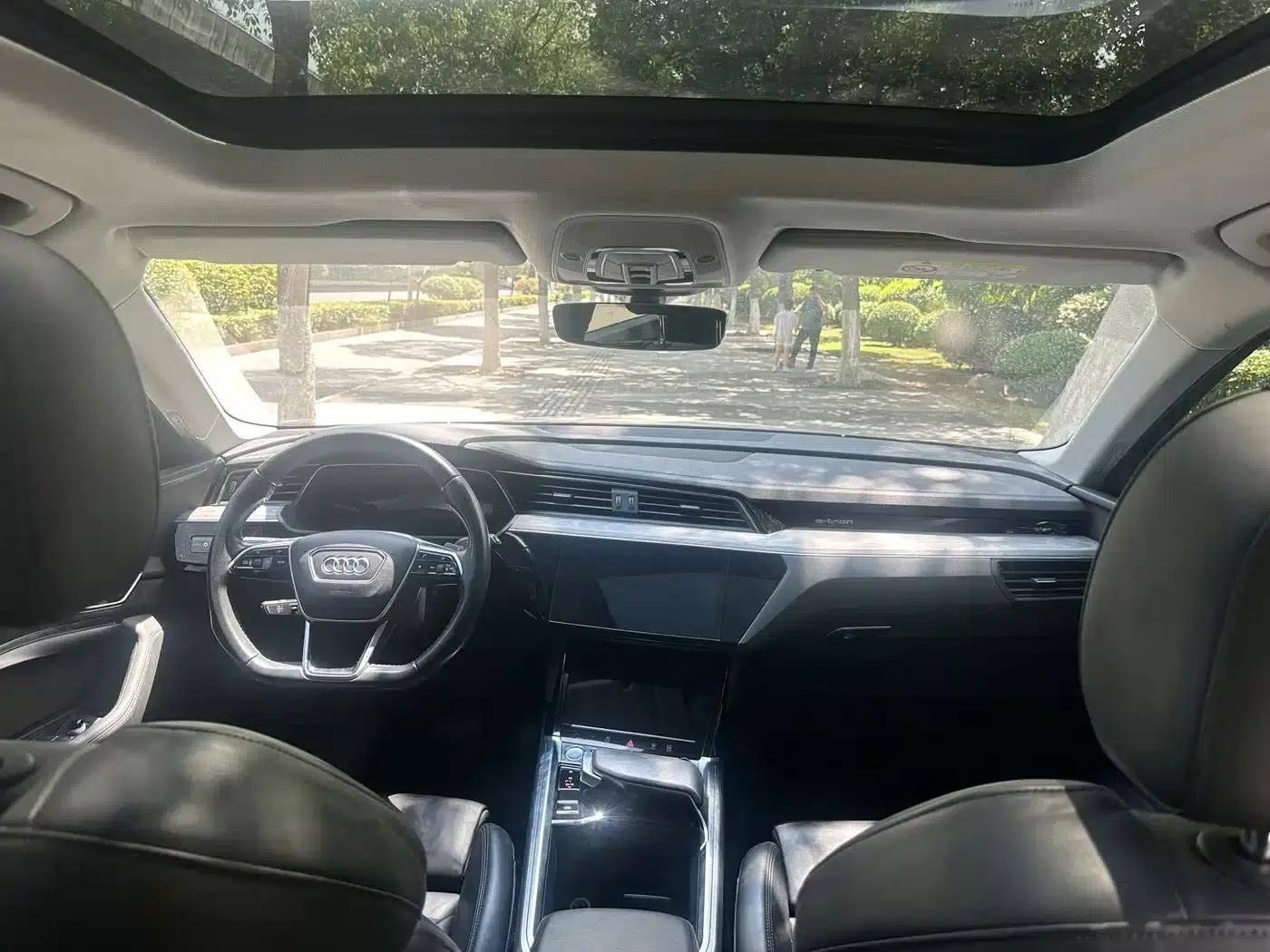 Audi e-tron (Imported) 2019 55 quattro Exclusive Edition — миниатюра 13