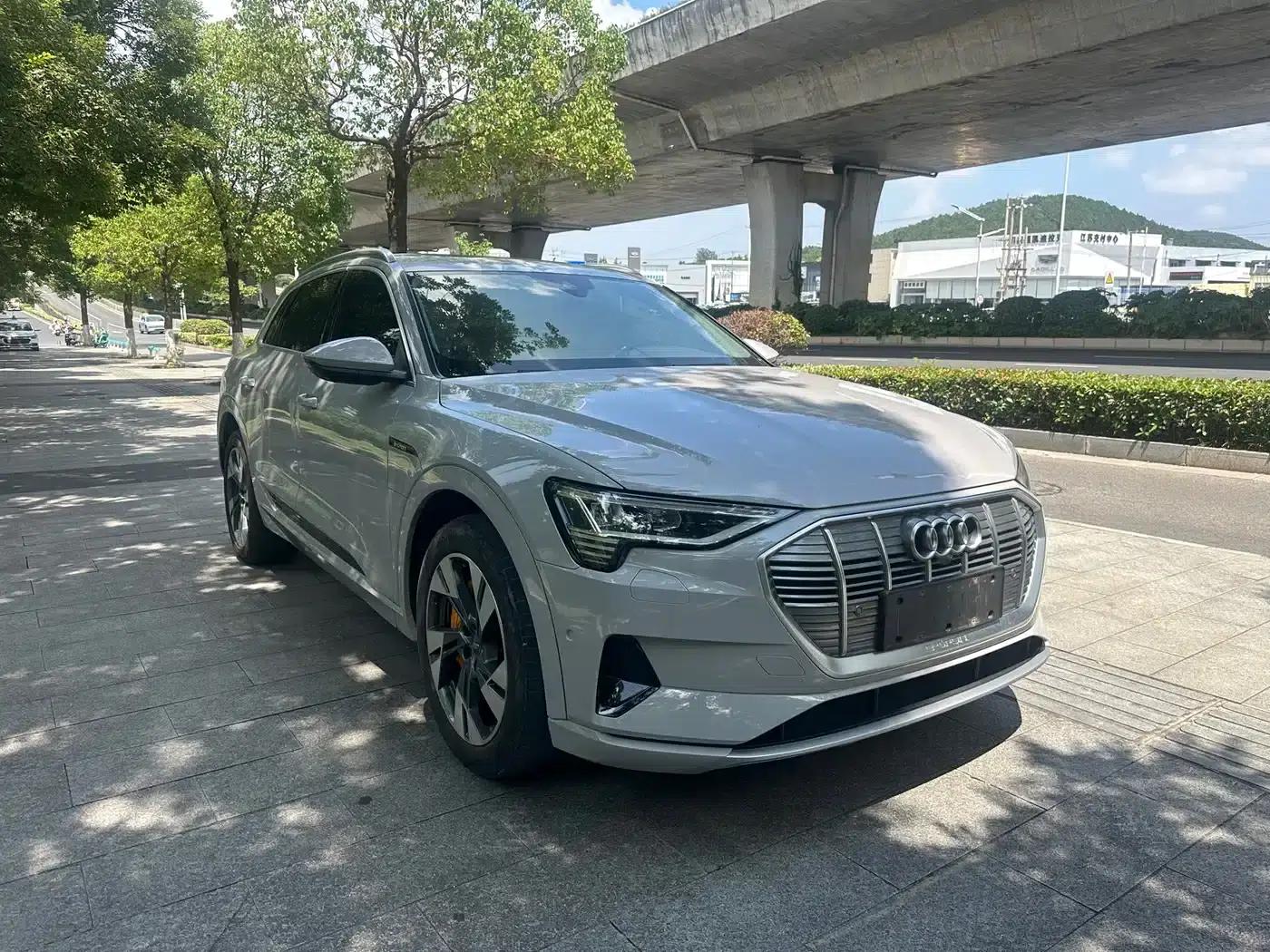 Audi e-tron (Imported) 2019 55 quattro Exclusive Edition — миниатюра 3