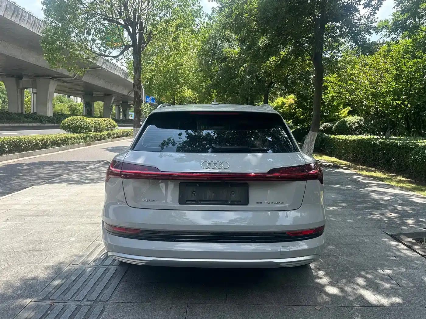 Audi e-tron (Imported) 2019 55 quattro Exclusive Edition — миниатюра 6