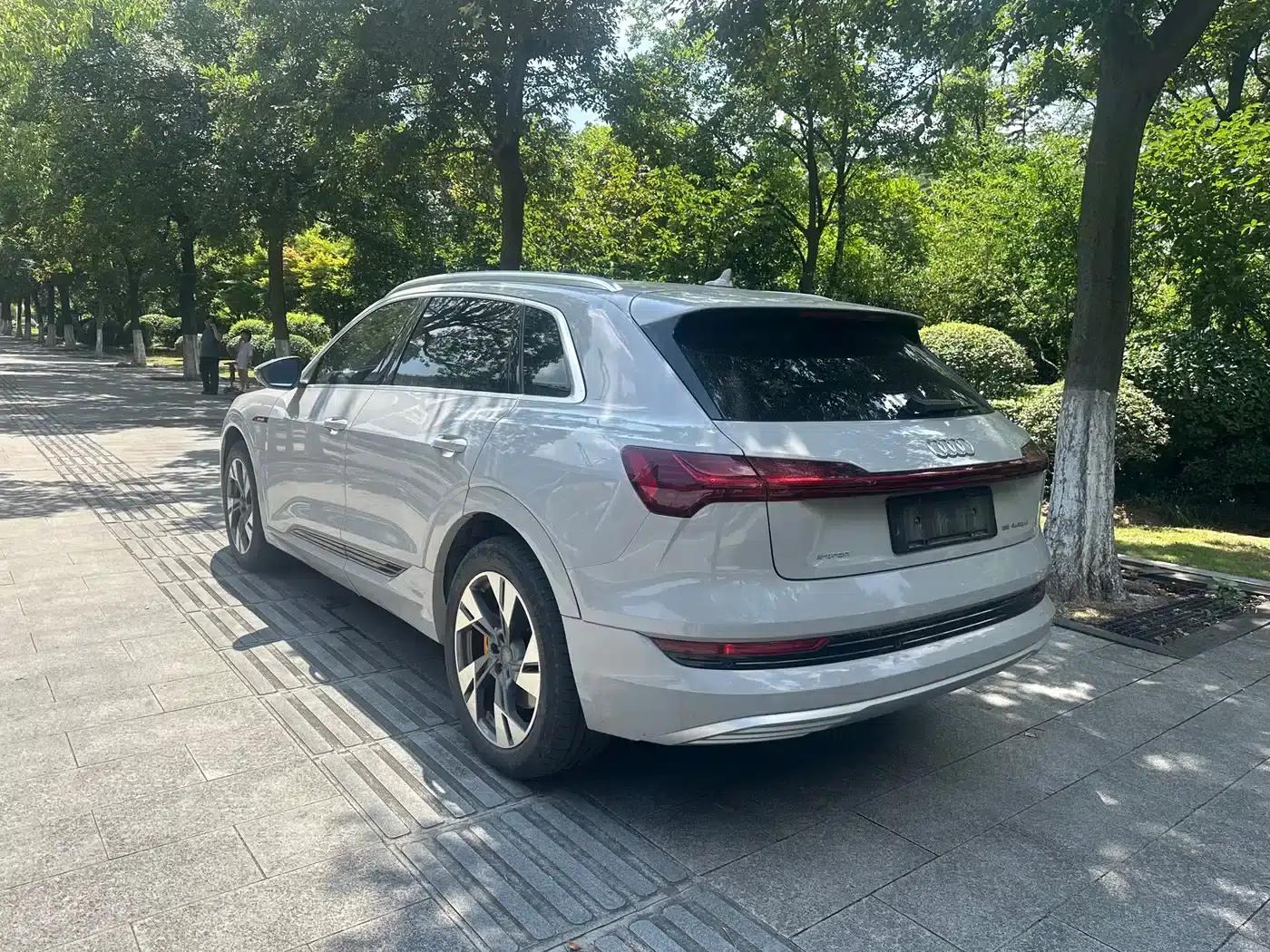 Audi e-tron (Imported) 2019 55 quattro Exclusive Edition — миниатюра 7