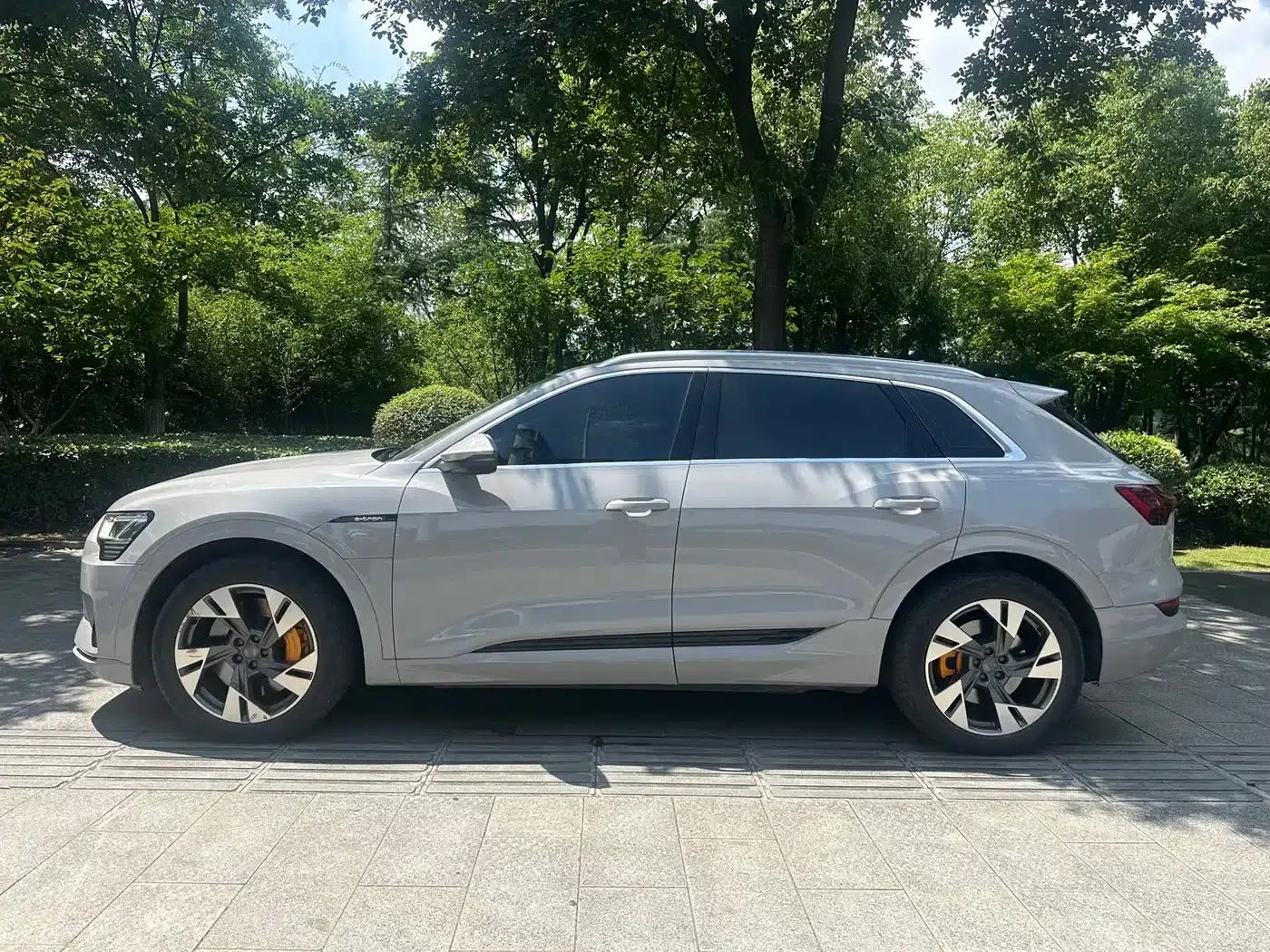 Audi e-tron (Imported) 2019 55 quattro Exclusive Edition — миниатюра 8
